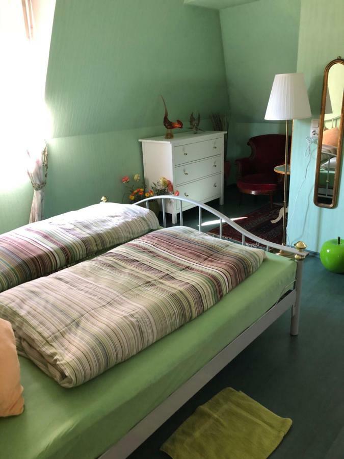Ferienwohnung Meintzinger フリッケンハウゼン・アム・マイン エクステリア 写真